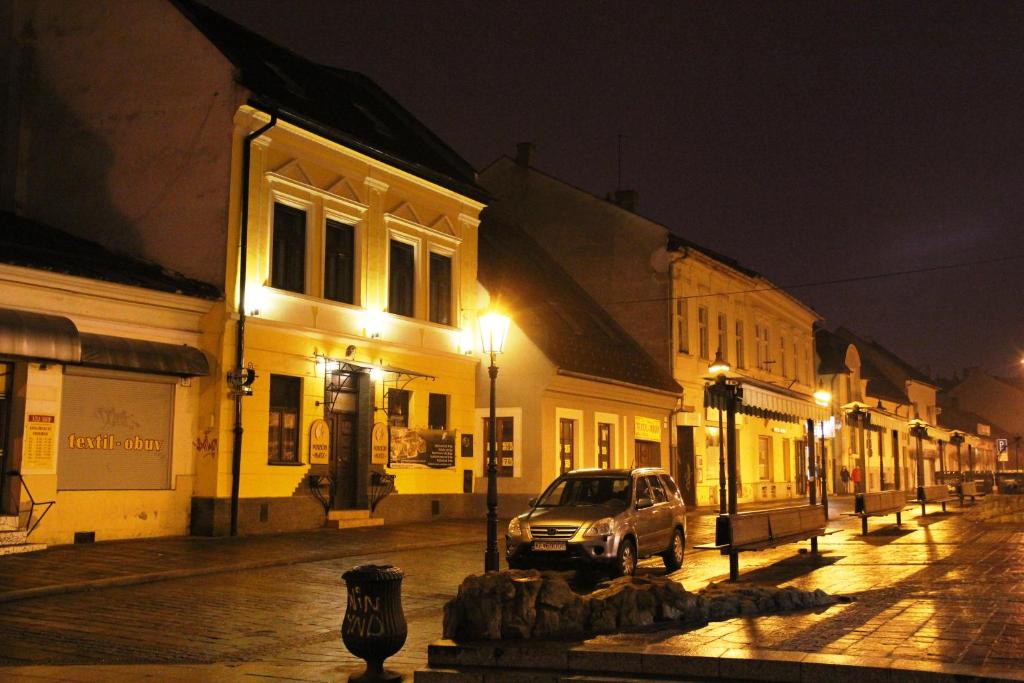 Hotel Zlaté Košice - Resim 19