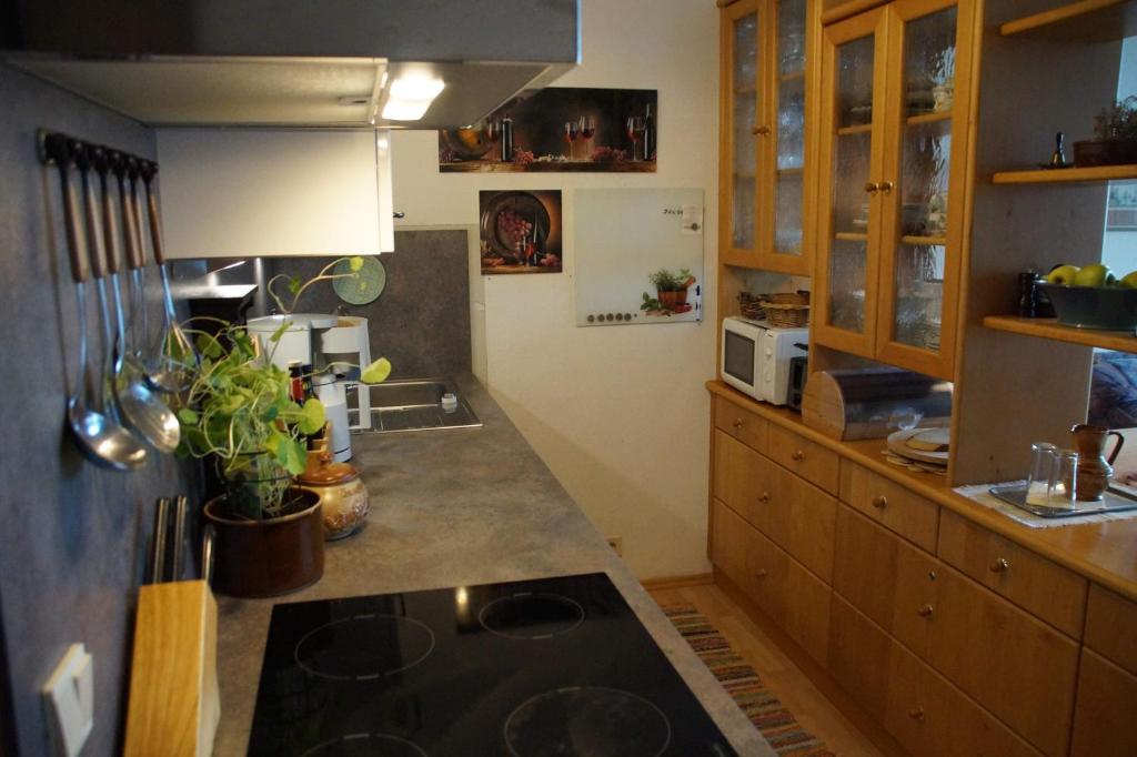 Kuchyňa alebo kuchynka v ubytovaní Apartment im Hocheck