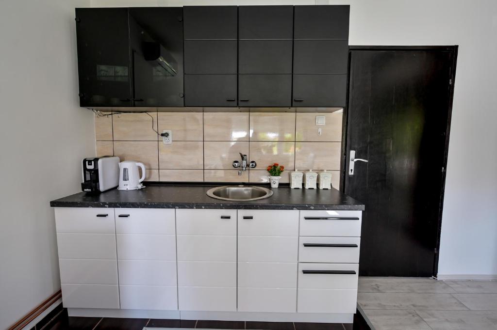 Kuchyň nebo kuchyňský kout v ubytování Apartman DORA