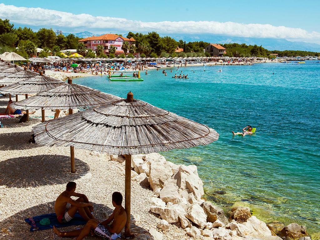 Príroda v okolí apartmánu