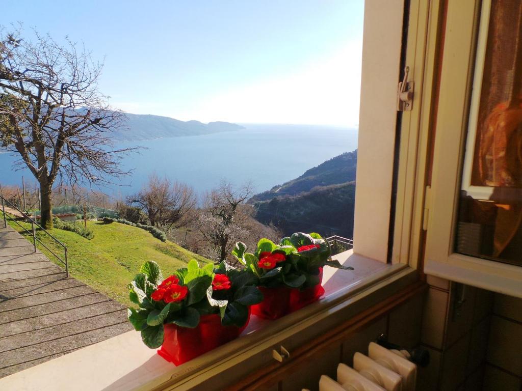 dois vasos com flores sentados no parapeito da janela em Villa Margherita - Rebomaholidays em Tignale