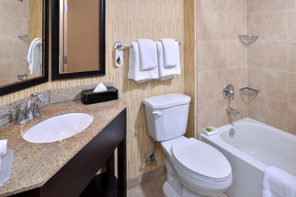 Holiday Inn Express Hunt Valley, an IHG Hotel - Standaard King Room