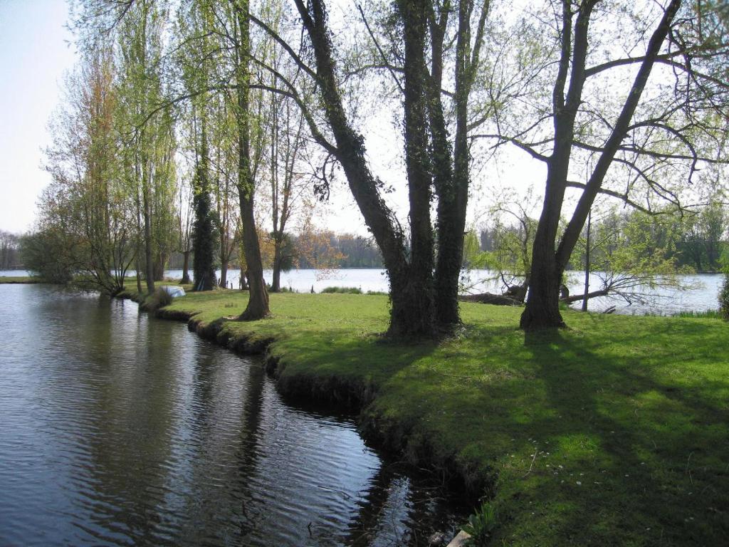 a river with trees and grass next to a body of water at Hôtel L&#39;ile Du Saussay in Itteville