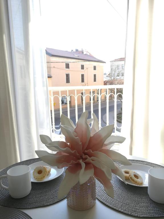 Apartments B&M - 
