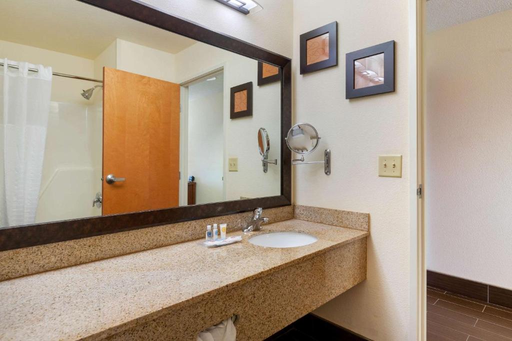 Comfort Suites Stevensville - St Joseph photo