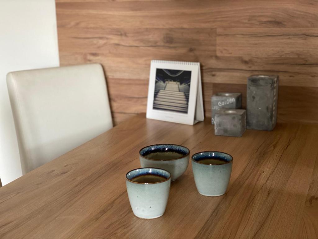 Fotografie z fotogalerie ubytování Apartment Dolní Moravice Jeseníky v Dolní Moravici