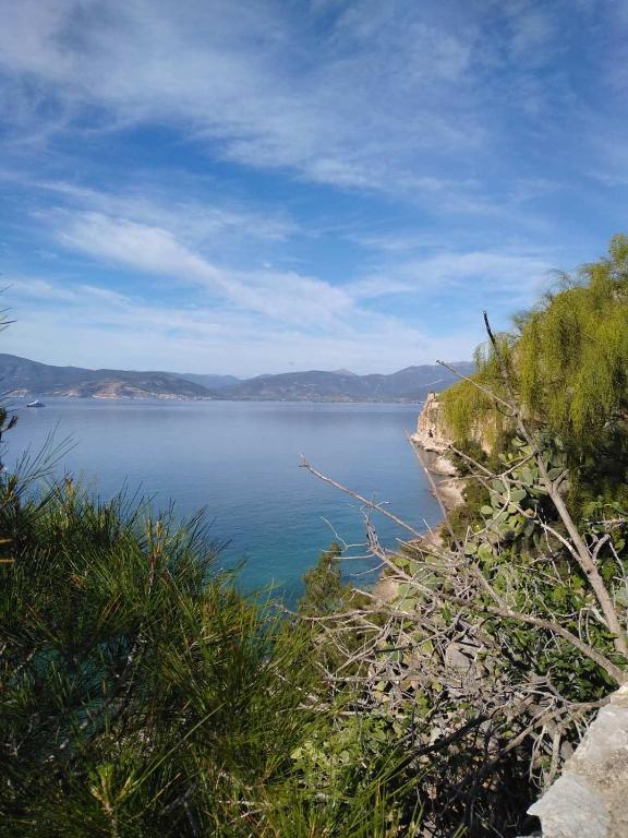 Victoria Hotel - Resim 18