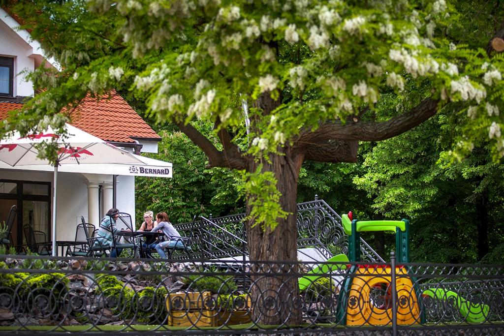 Zahrada ubytování Penzion Na Sklepích