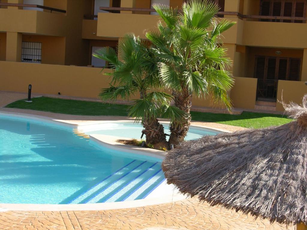 The swimming pool at or close to Albatros Playa 3 - 1307