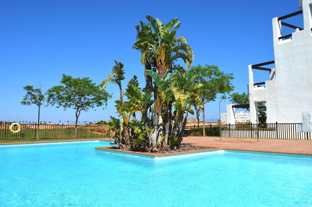 - une piscine avec un palmier à côté d'un bâtiment dans l'établissement Las Terrazas Golf 4209 - Max, à Roldán