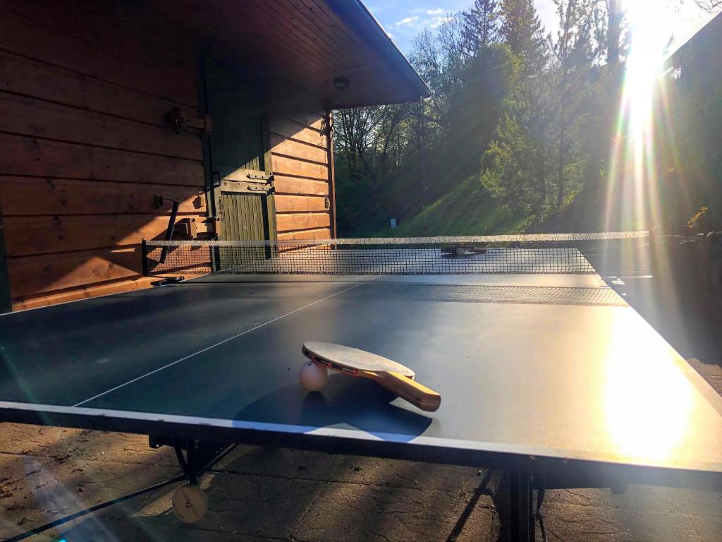Tenis stołowy w obiekcie Dům nad Pržnem lub pobliżu
