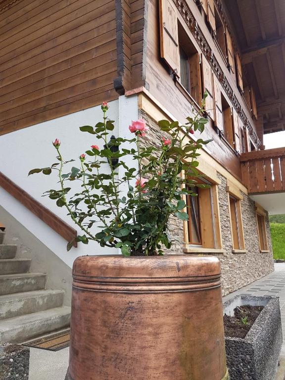 Zahrada ubytování Chalet Grüneggli