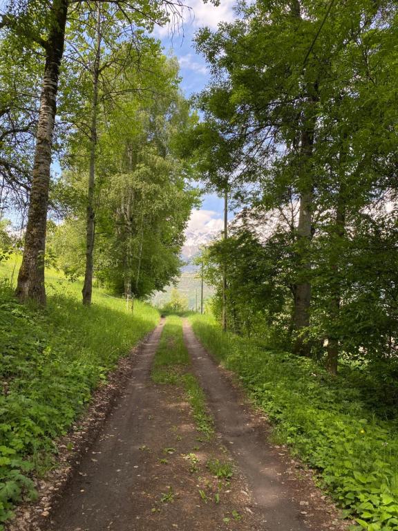 Loodusmaastik palkmajakese lähedal