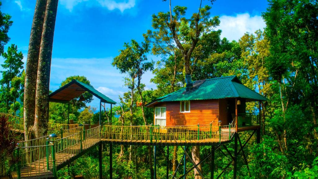a tree house in the middle of the forest at Sitaram Mountain Retreat in Munnar