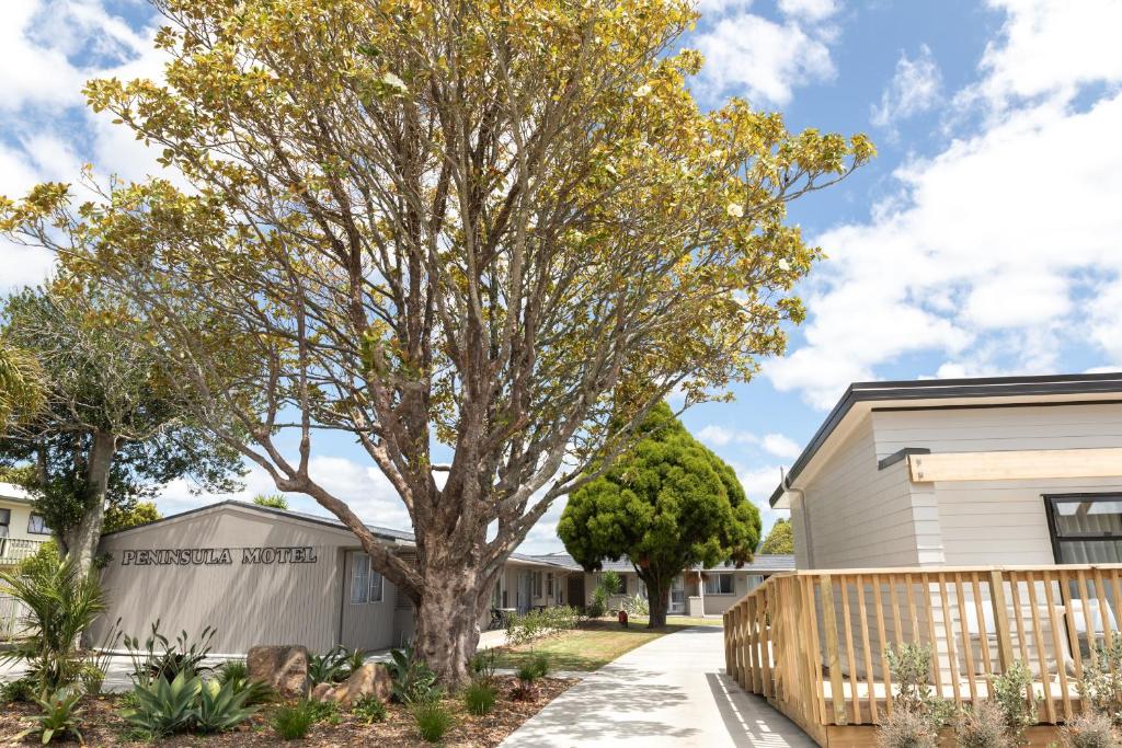 Peninsula Motel - Resim 33