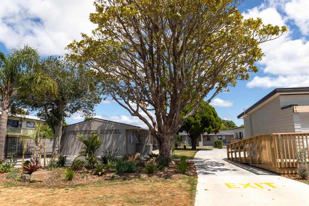 uma casa com uma árvore num quintal em Peninsula Motel em Whitianga