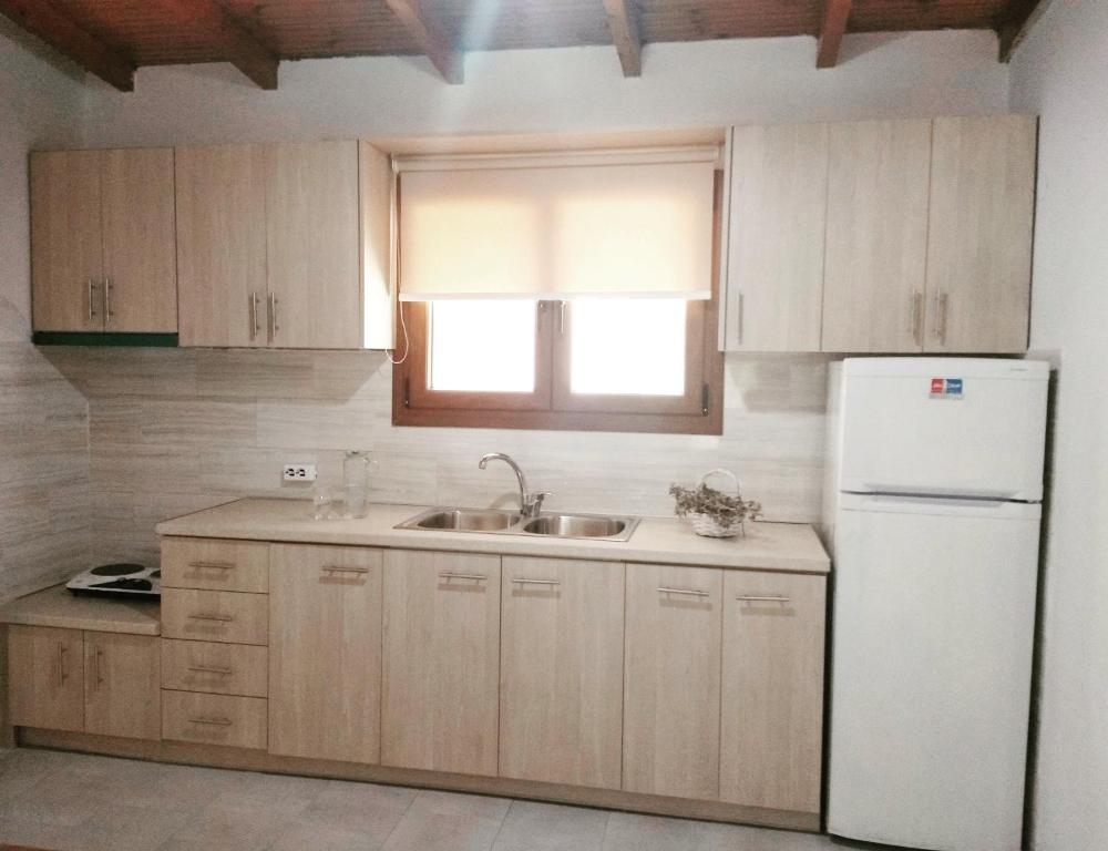 a kitchen with a white refrigerator and a sink at Irini Studios in Alykes