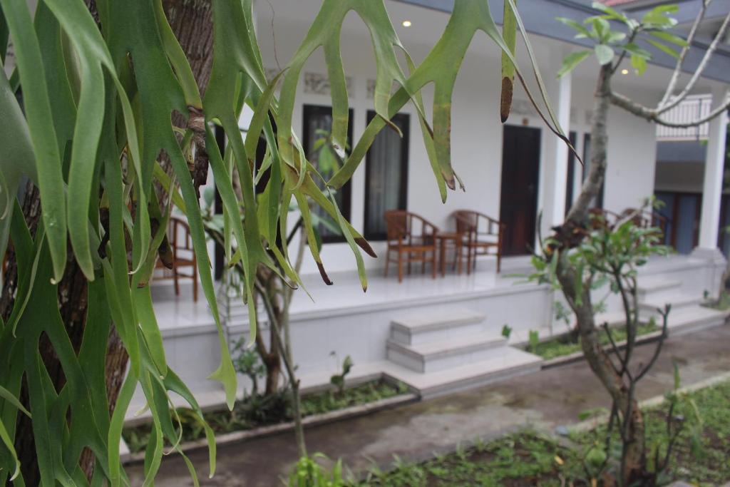 Zahrada ubytování Intan Guest House