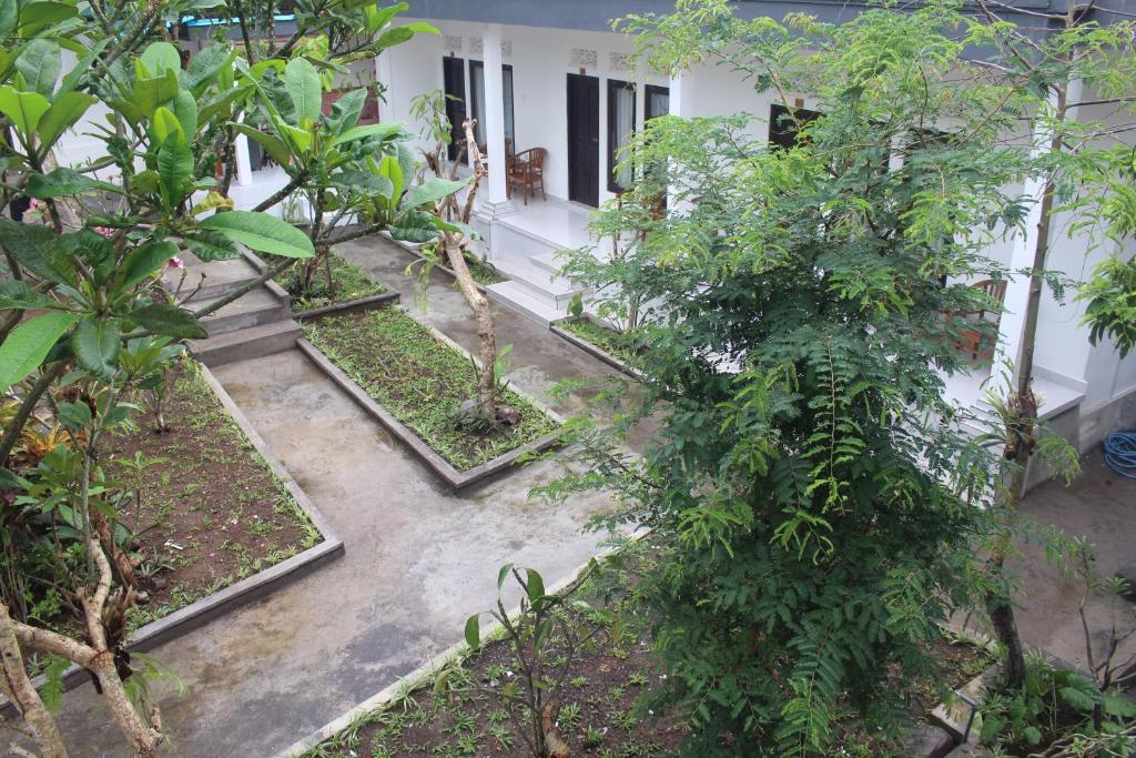 Zahrada ubytování Intan Guest House