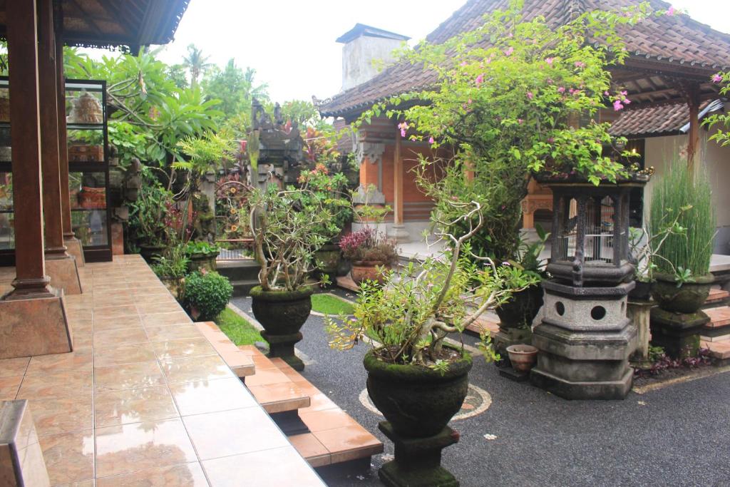 Zahrada ubytování Intan Guest House