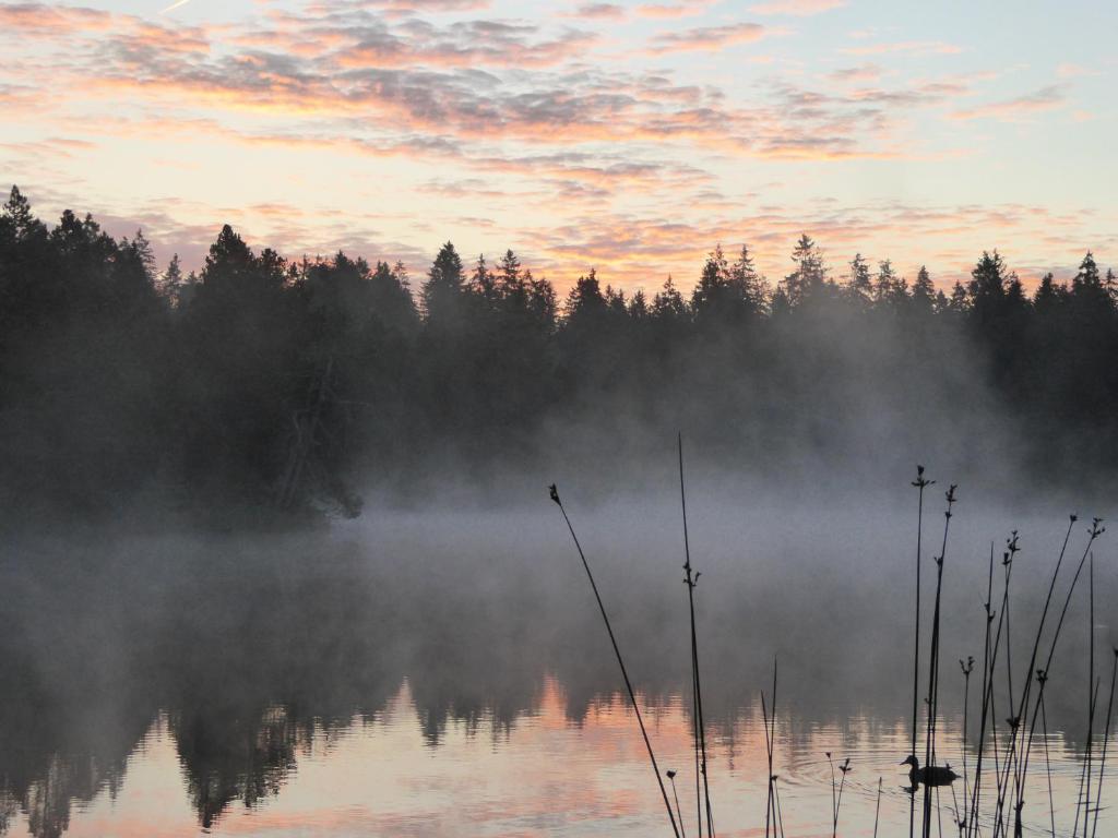 Loodusmaastik apartemendi lähedal