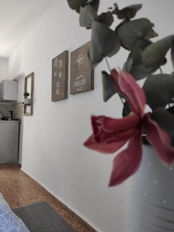 Kuchyň nebo kuchyňský kout v ubytování Afroditi Hotel