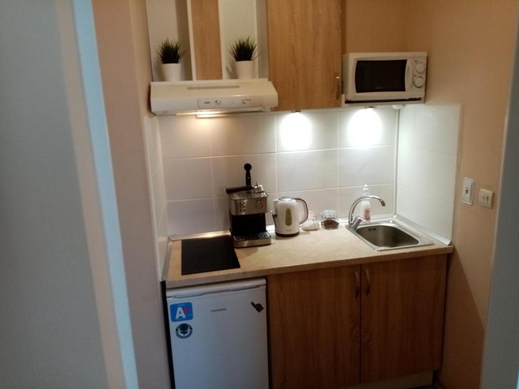 Kuchyň nebo kuchyňský kout v ubytování Benita Inn apartments