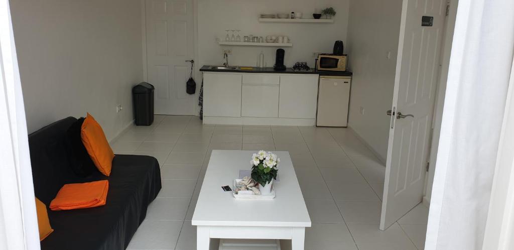 Kuchyň nebo kuchyňský kout v ubytování A1 APARTMENT budget at JAN THIEL Curacao