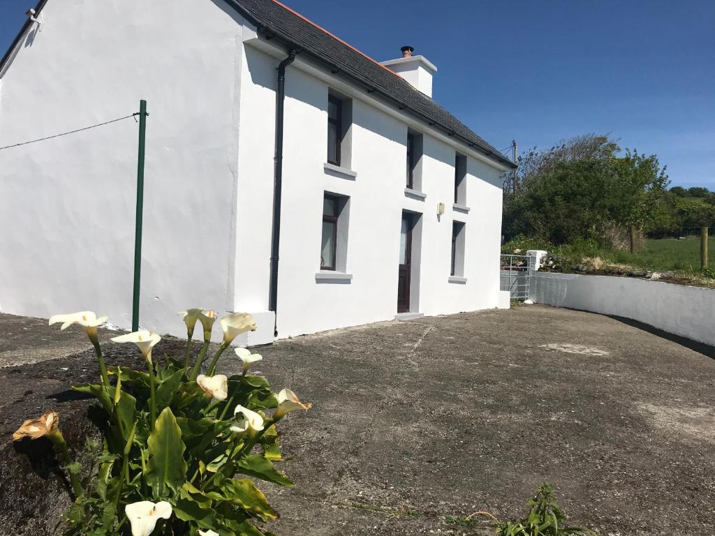 een wit gebouw met witte bloemen ervoor bij Eileen's House in Cork