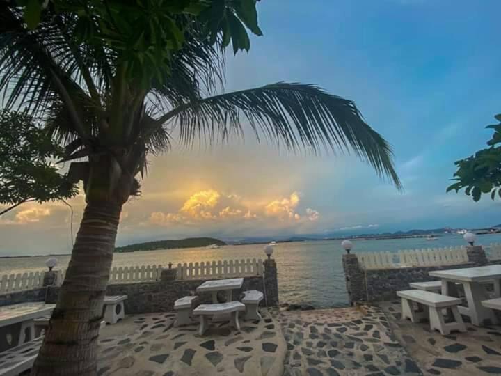 a palm tree sitting next to a body of water at Rubtawan Sichang Resort in Ko Si Chang