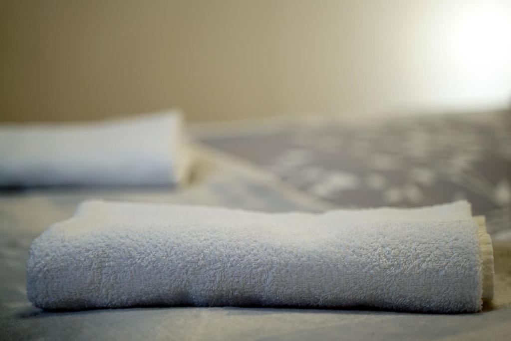 Posteľ alebo postele v izbe v ubytovaní Apartament Nałęczów dom pod orzechami
