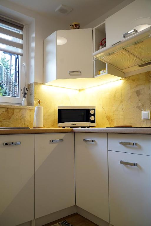 Kuchyňa alebo kuchynka v ubytovaní Apartament Nałęczów dom pod orzechami