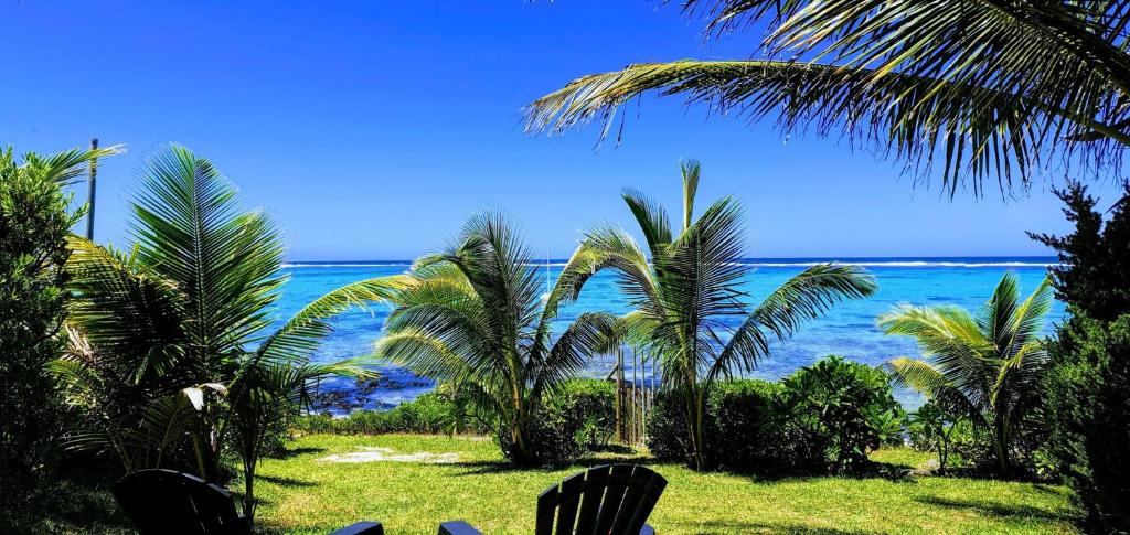 a view of the ocean from a beach with palm trees at Villa du Lagon in Blue Bay