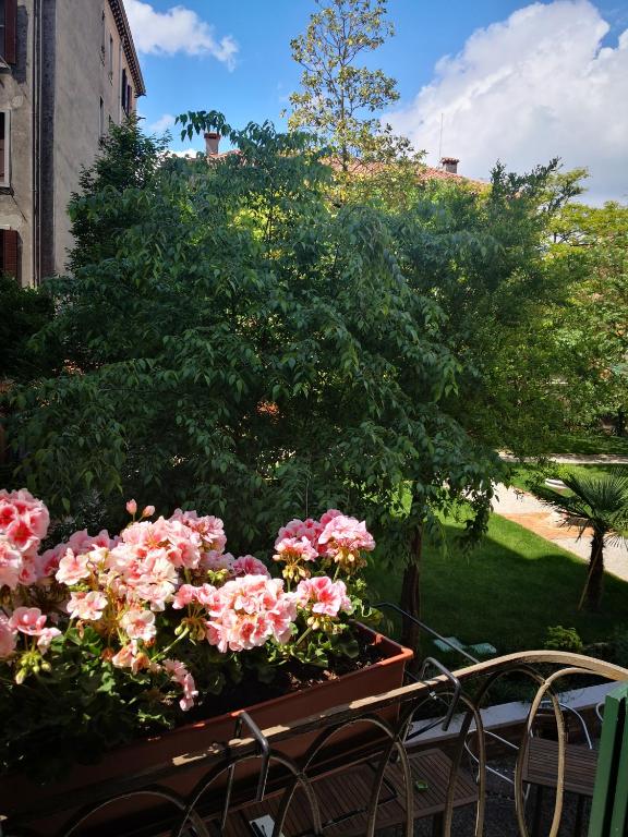 Cinqueteste Luxury Home - 4