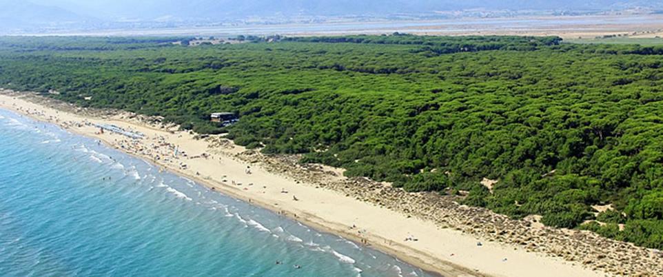 Táj Show holiday homes közelében