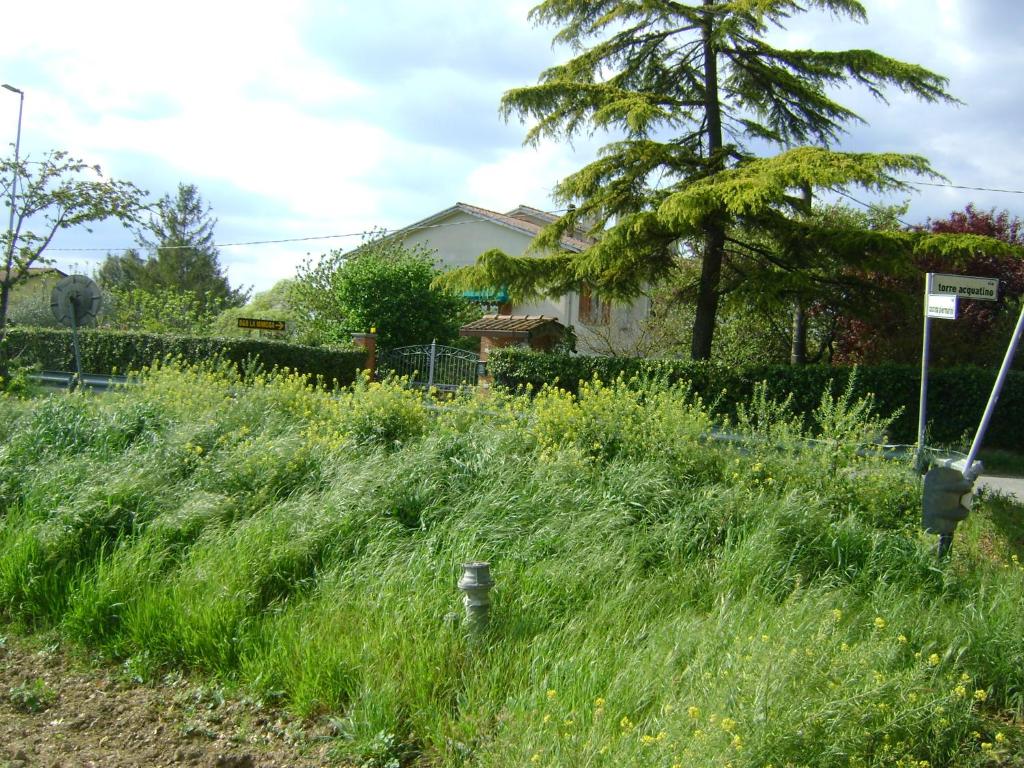 Zahrada ubytování B&B La Mimosa