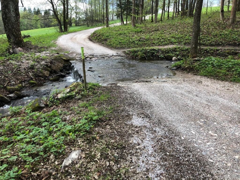 Příroda nedaleko apartmánu