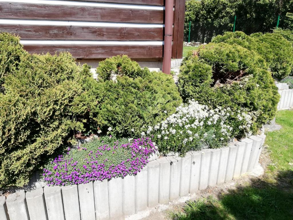 Ogród w obiekcie Vakantiehuis Cerny Dul 259