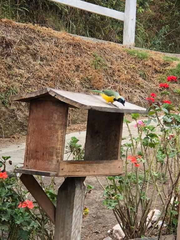 Zahrada ubytování Cabañas Valle del Cocora La Truchera