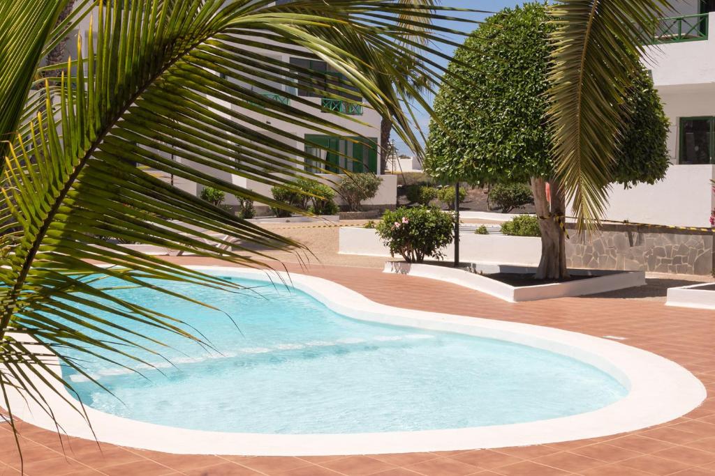 a swimming pool in a courtyard with a palm tree at Conylanza Los Cármenes in Costa Teguise