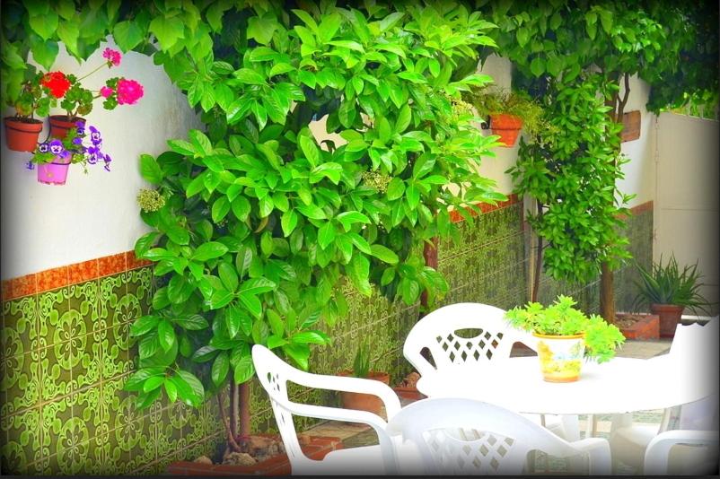 a table and chairs in front of a wall with plants at El Rincón de la Rosa in La Zubia