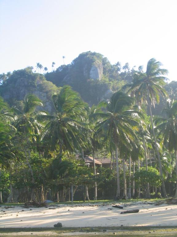 a group of palm trees on a beach with a house at Dapitan Beach Villa in Dapitan