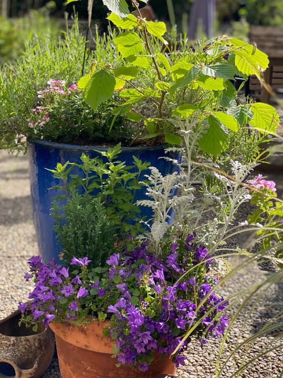 Hotel Cascade Superior - Resim 26