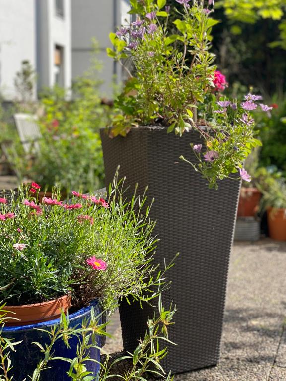 Hotel Cascade Superior - Resim 25