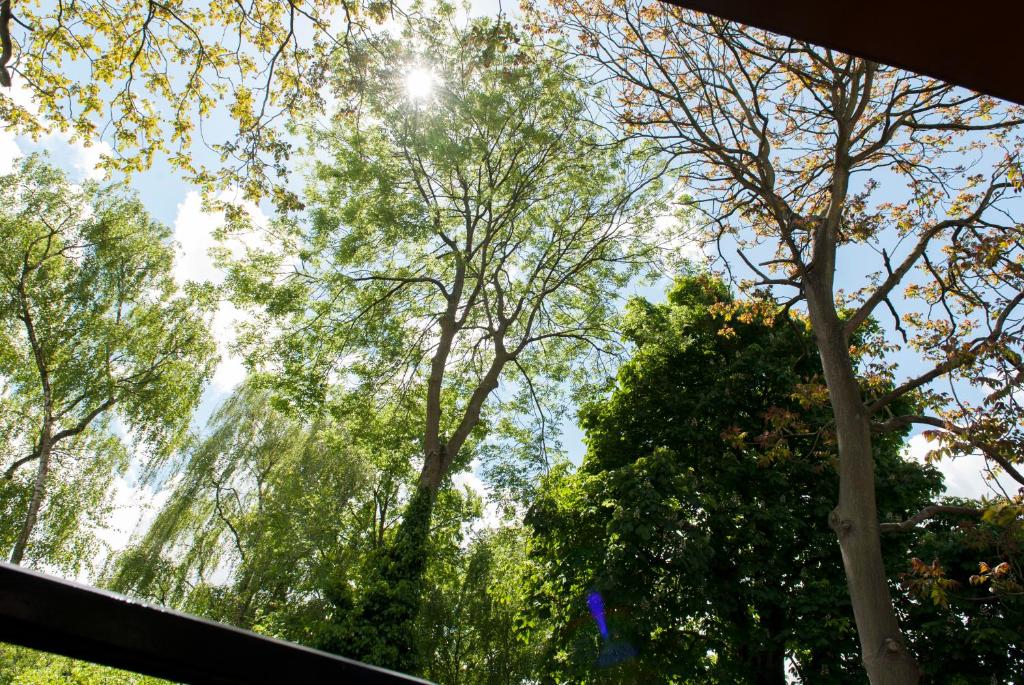 Boutique Hotel De Salon - Resim 28