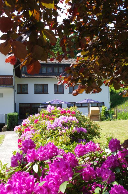 Zahrada ubytování Hotel Herrenrest