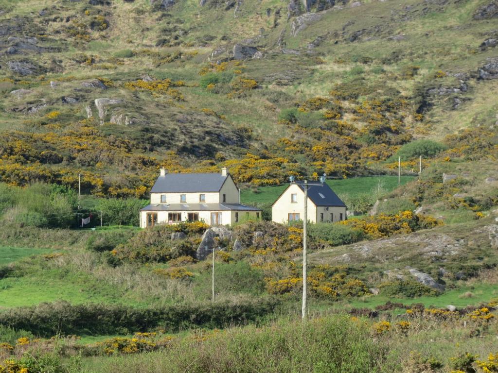 Mizen View