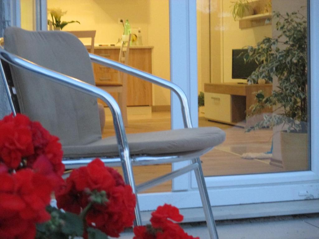 Fotografia z galérie ubytovania Apartment near center,beach,bus +free parking v destinácii Zadar