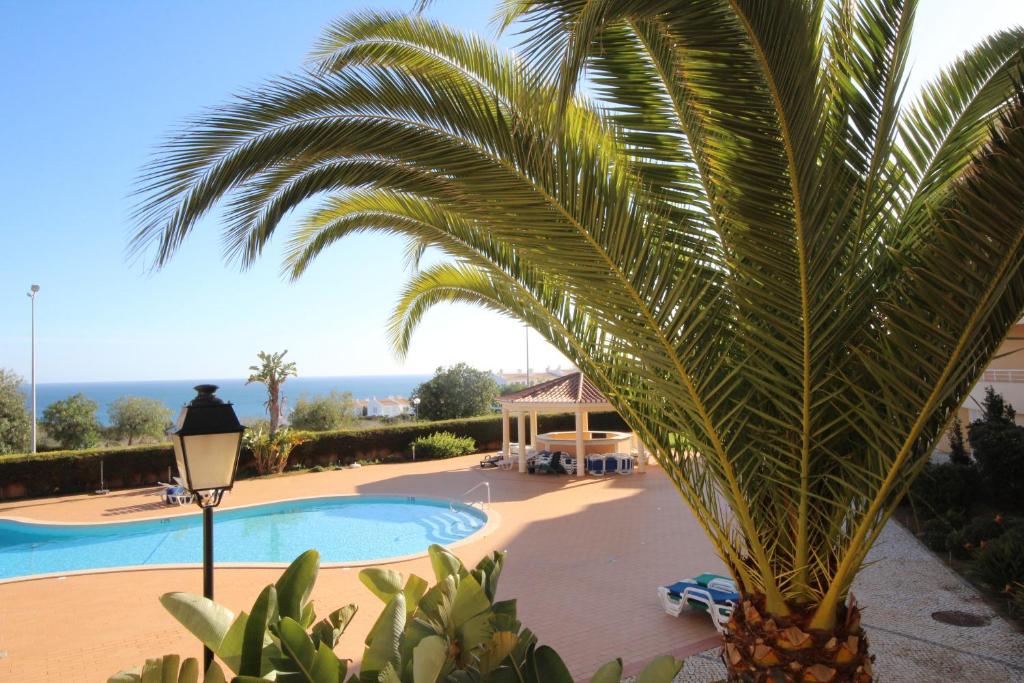 palma di fronte alla piscina di Acácias, spacious apartment with sea view a Luz