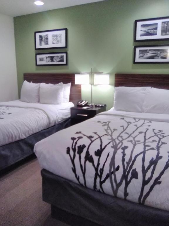 Sleep Inn Summersville - New River Gorge Area - ダブルルーム ダブルベッド2台